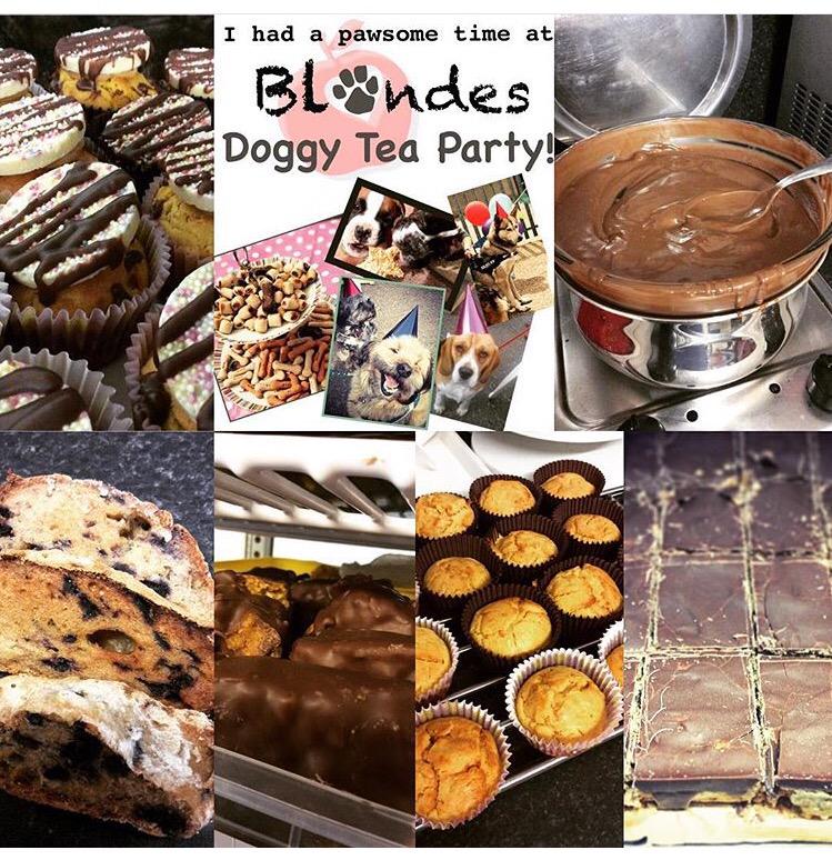 Calling all #doglovers #dogsoftwitter #blondescoffeeshop #doggyteaparty this weekend #cottingham #yorkshire #PawsUp