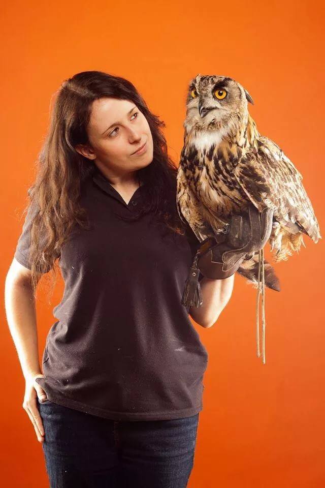 WriteBlend1's tweet photo. TOMORROW!! @bbtaylorauthor Bubu the Owl! Sox the Raccoon! A fox too! #unmissable http://t.co/mrjB9XMRVC