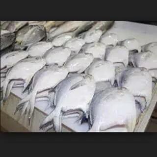 ‏ Manaf Abdullah tweet media