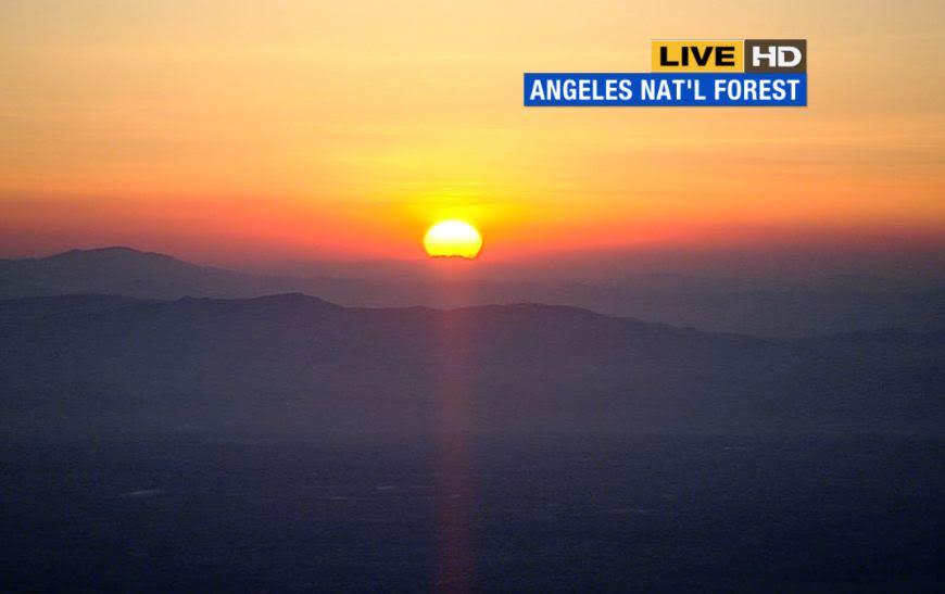 abc7briwinkler tweet picture
