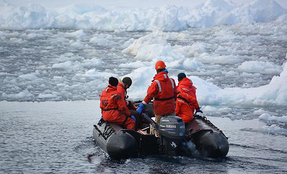 SeaTechnology's tweet photo. Melting glaciers feed Antarctic food chain. http://t.co/1yJx88NUDL … #polynyas #glaciers http://t.co/8s0SKvAbsJ