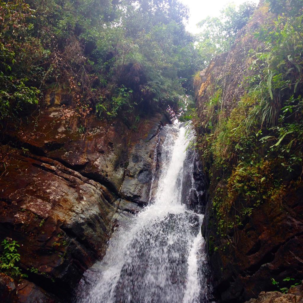 ElConResort's tweet photo. Happy Friday from the beautiful El Yunque Rainforest! #PuertoRico #Caribbean #tgif http://t.co/ipW133xMsk