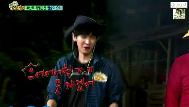 law of the jungle brunei law of the jungle brunei