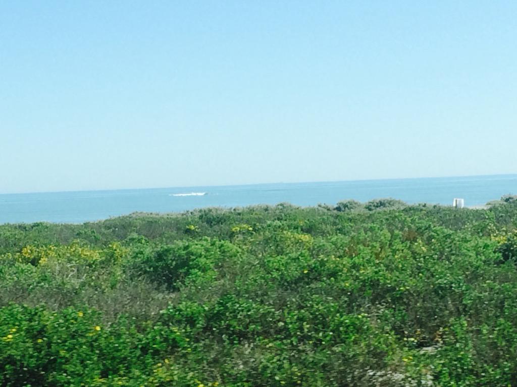 On the road! Vredendal jou lekker ding!! <a href="/chereestrydom/">cheree</a> <a href="/wynandstrydom/">wynand strydom</a> <a href="/ViljoenRetief/">Viljoen Retief</a> <a href="/Nickydupreez/">Sticky Nics</a> #optoer #weskus