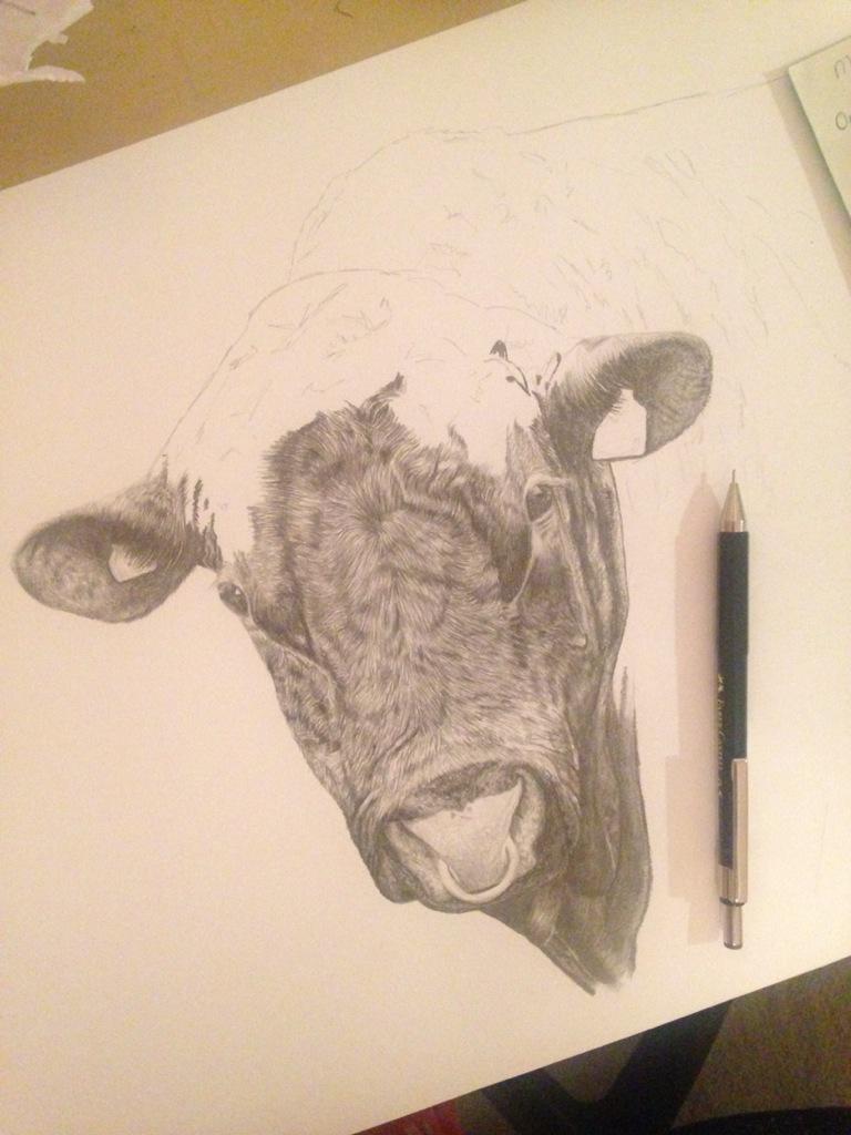 lauramaryart's tweet photo. Update on Monty the bull 🐮 #farmershour #countrysidehour #farm24 http://t.co/9iMV21AFMY