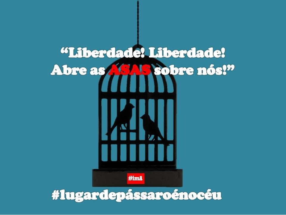 brasil_ima's tweet photo. Lugar de pássaro não é na gaiola. #lugardepássaroénocéu #ímã http://t.co/KODXPqz1qS