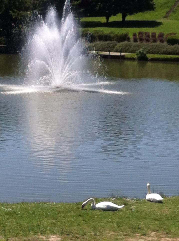 StephanieSense's tweet photo. Pause fraîcheur et nature dans le parc du Ritouret. J'aime ma ville :-) http://t.co/RWo2TgA11P