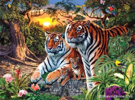 4000Sam tweet picture