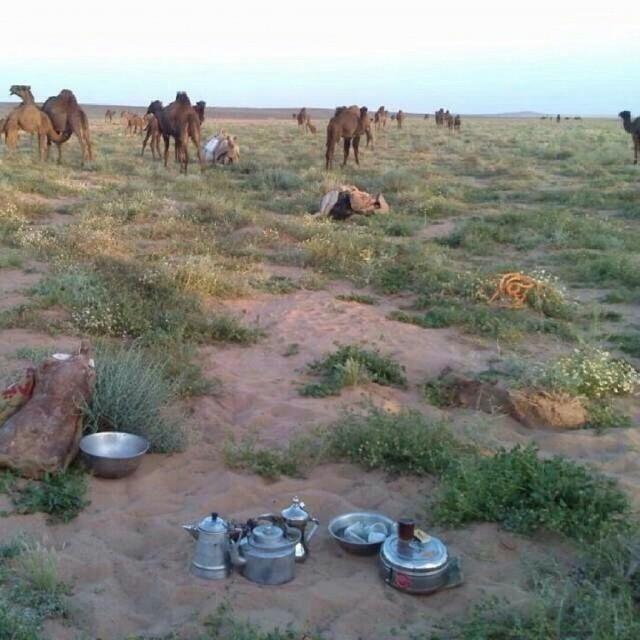 @fheed6666 حي شوف المطر وشوف الصفر 😊😊😊