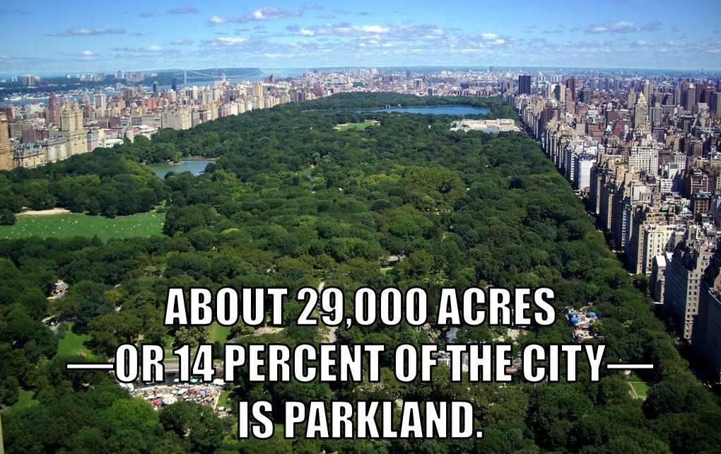About 29,000 Acres or 14% of New York City is Parkland. #nycparks #nyparks #parks #green #secretny #mironsecretny