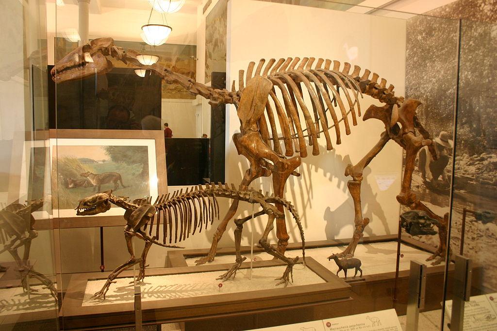 Преглед на изображението в Twitter