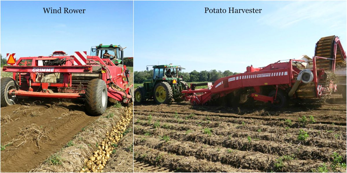 Potatoes are being harvested for #FreshFromFarm15 bundles! #LoveONTFood Learn more here: ow.ly/RbPUG