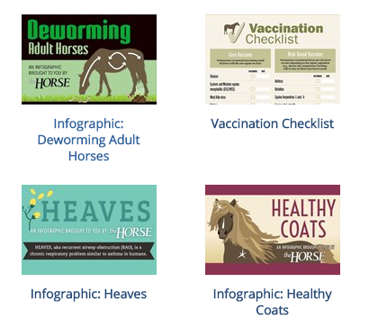 thehorse's tweet photo. Are you a visual learner? Check out our collection of #horse #health #infographics at http://t.co/DGhwRWGE7K! http://t.co/IPUXUGw0zj