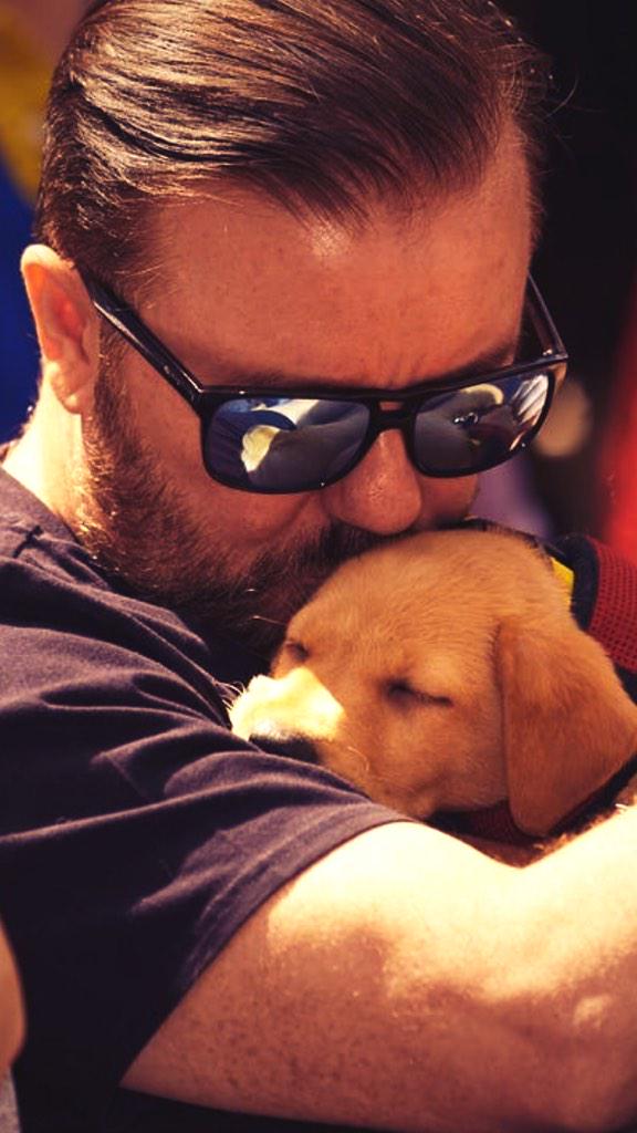 rickygervais's tweet image. This weekend, why not visit your local pet rescue centre and bring home your new best friend. @pupaid @AllDogsMatter