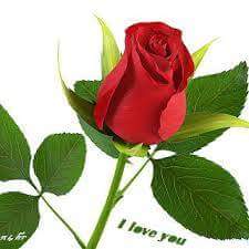 SlsmAdp's tweet photo. @corriesmit1960 . http://t.co/tJb4K7E9CA