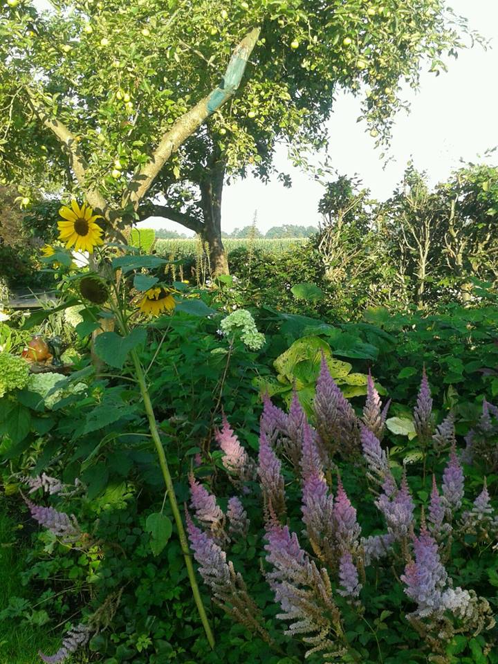 Brinkdorp Den Ham tweet media