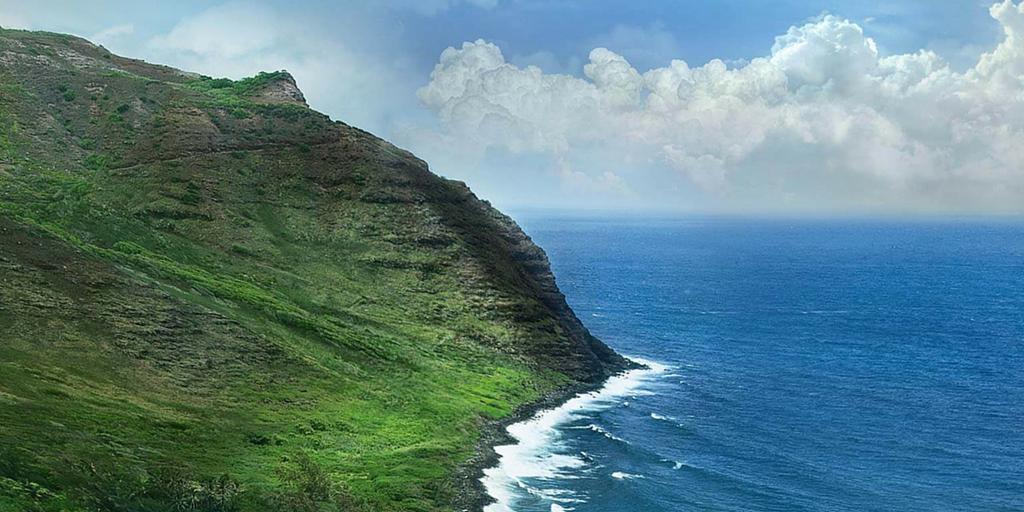 Aloha Movie tweet media