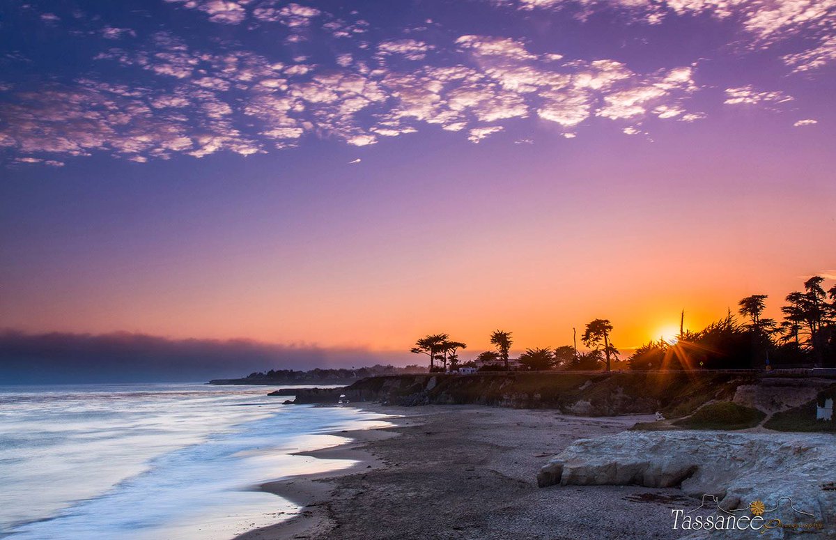 Meachele Campbell tweet media