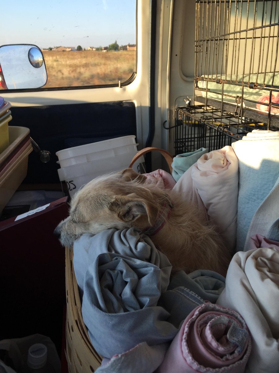 McGidget's tweet image. #RagDiva working me too hard! #naptime