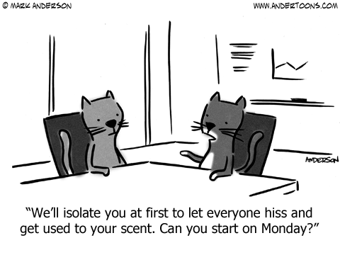 Ark_Vet's tweet photo. How well does your cat mingle with other cats? Are they a team player or prefer to be alone? @Andertoons #catcomic http://t.co/5sNyHMLcE3