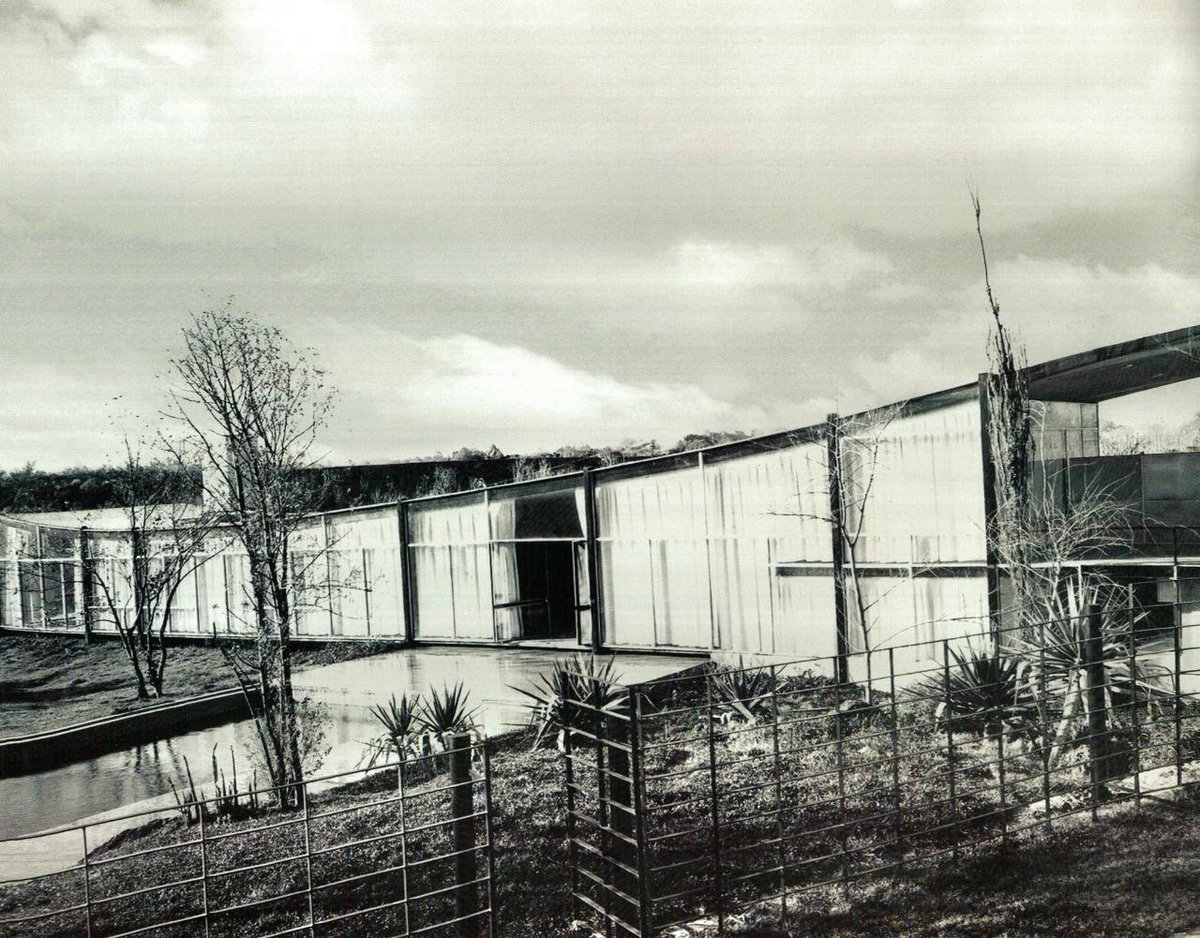 Angel Muñiz tweet media