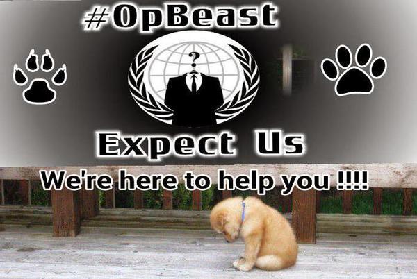 RIBERABA's tweet photo. 5) For more INFO Pls @StarkRaving1:
- SEE the DSM IV & V
- FOLLOW to @AnonOpBEAST
#OpBEAST #ExpecUs
@LittleWombat666 http://t.co/q7nwcwxUL4