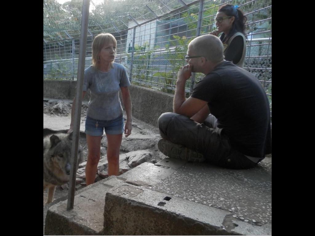 wolfdogbehavior's tweet photo. Rencontre de Ghislaine Viano, comportementaliste et capacitaire loups, une journée plus qu'enrichissante! :) http://t.co/NT6QDx5mXa