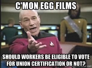 . <a href="/eggstudios/">Egg Studios</a> valid question #nspoli #canlab