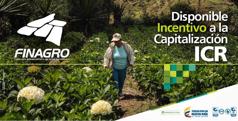 Finagro's tweet image. @Finagro dispone de $20.000 mills de #ICR, para otorgar en infraestructura pesquera y acuícola bit.ly/1SBKZNl