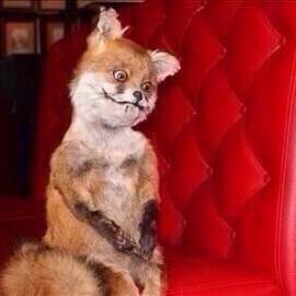 JazLachs's tweet image. @CMUProgramBoard: RT if you are excited for our big #PBFall announcement today!