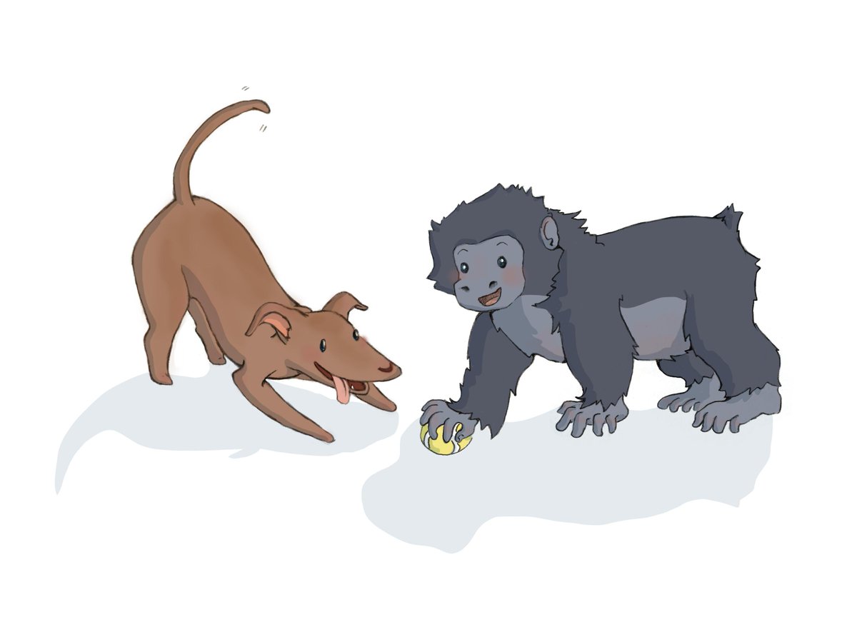 PippythePup's tweet photo. Help us teach #children about #Endangered #Animals. Help #Pippy at http://t.co/0vv4YKIdao   @sharkarama7 @WCSMyanmar http://t.co/QKczOgrNNN