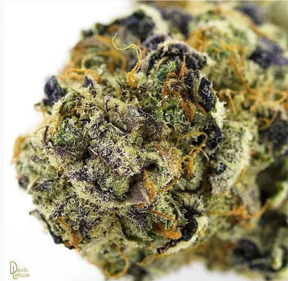 ElevatedRental's tweet photo. Dabstars bringing the heat today! Great photo! #420work #nugs #hash #dab #errl #shatter #710 #dabber #weedstagram http://t.co/5ytLSdL9nT