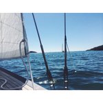 Photo by Francli (@FrancliFalmouth)