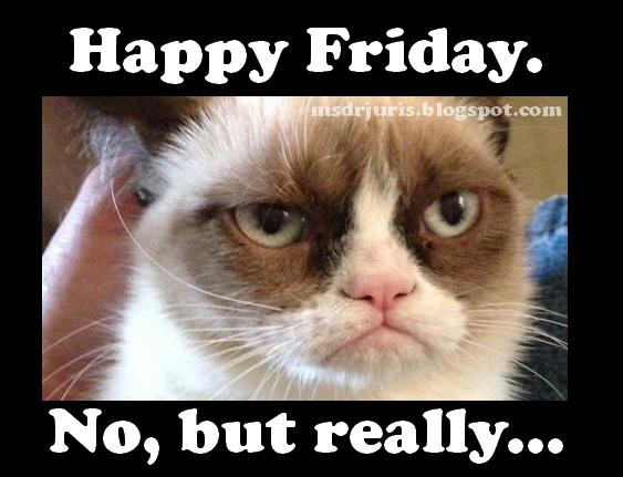 happy friday funny cat