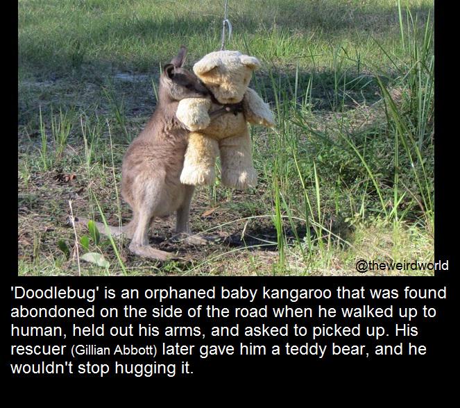 Shower Thoughts (@shwrthght) on Twitter photo 