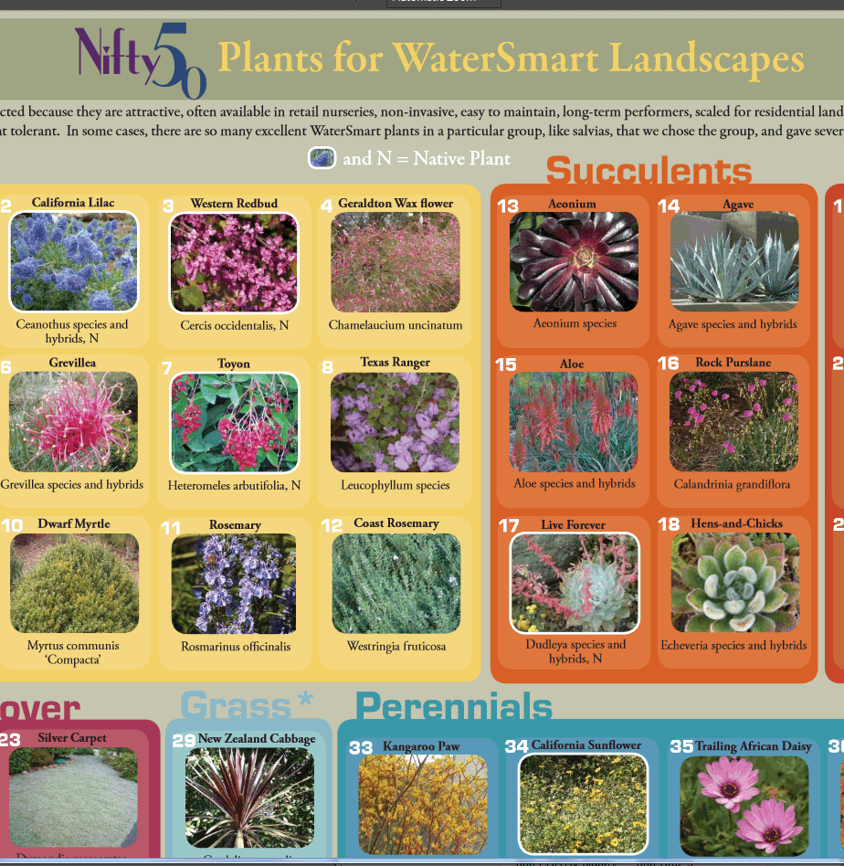"Nifty 50" guide: great resource for choosing water-wise plants that thrive in San Diego. bit.ly/1h1XjdT