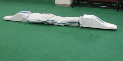 OsakaPlayer's tweet photo. 奈良。非公認ゆるキャラ。斬新すぎるリニー君。 http://t.co/APRKnu6QVc http://t.co/DgN1Lx2xh9