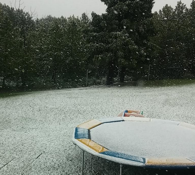 Are you seeing THIS in Calgary? BTW, it's August, right? #absnow #abstorm