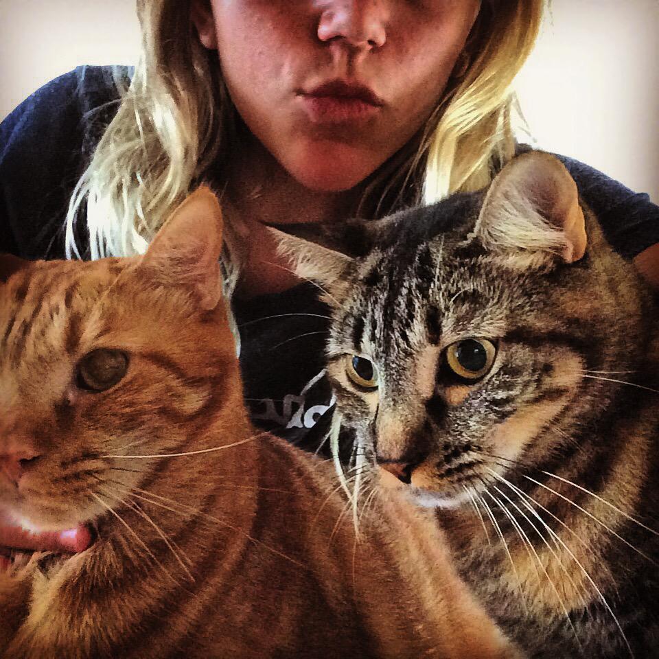 katieee_14's tweet photo. Just hanging out with my cats at home #nolife http://t.co/ar8Rbfw66e