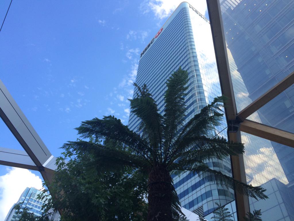 WillSandyDesign's tweet photo. The only way is up in the city, even the plants are doing it.. #JustDigIt http://t.co/Mqk97RHeLL