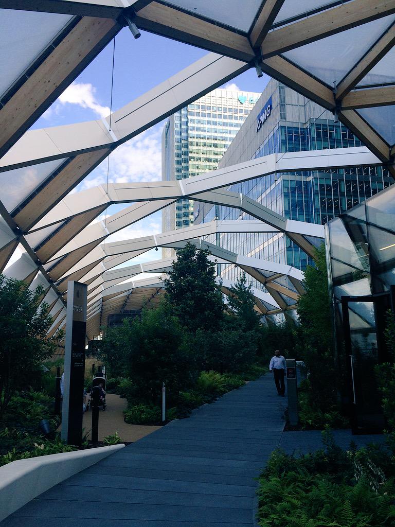 WillSandyDesign's tweet photo. The only way is up in the city, even the plants are doing it.. #JustDigIt http://t.co/Mqk97RHeLL