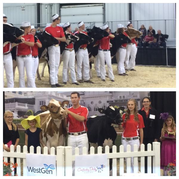 Jeanette_VdL's tweet photo. Strong #WCC15 Int. Showmanship classes. 1st- Megan Baars (BC), 2nd- Kurtis Severinski (BC) &amp; 3rd- Teresa Hylkema (SK) http://t.co/ScwK04jmO7