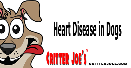 CritterJoes's tweet photo. Heart Disease in Dogs | https://t.co/QTvlcfckfX #pethealthcare #petnews #askcj #ledcollars #ledleashes #critterjoes https://t.co/cQSL6ohyG8