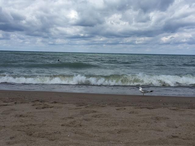 Beauty day at the #beach! Water is a little rough, #Lifeguards are flying a yellow flag. Be #cautious