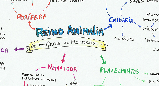 Regras de resumo Regras de resumo