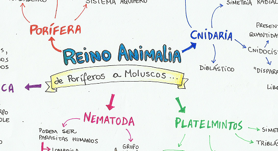 Regras de resumo