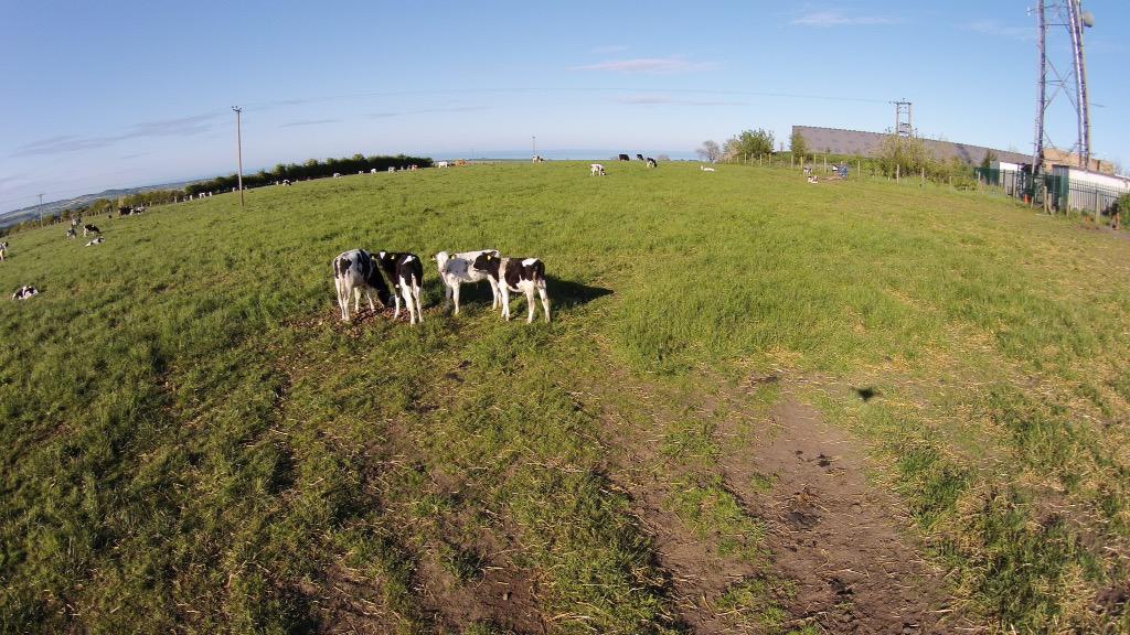 David Park tweet media