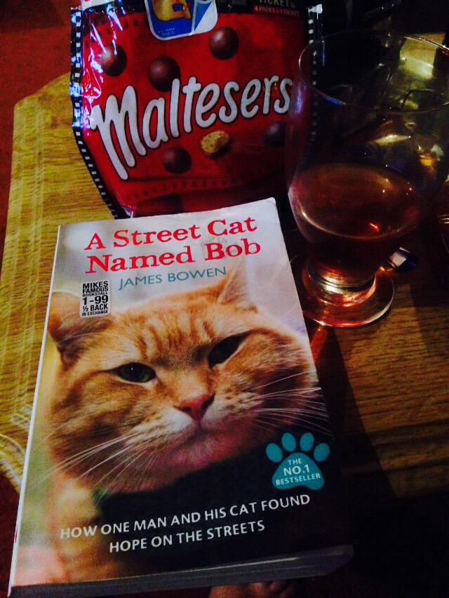 Gingerkittens1's tweet photo. Perfect holiday read ����📖@StreetCatBob http://t.co/BOz7GNCJF8