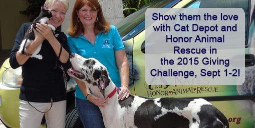 CatDepot's tweet image. Join us and @HonorAnimal in our efforts to #ShowThemTheLove through the #GivingChallenge15 September 1-2! Please RT!