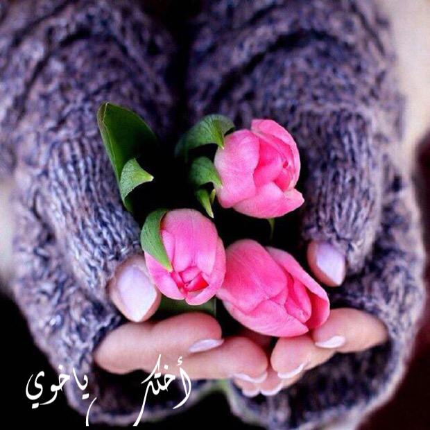 جابك الله في ذرى حزني "وأنا
من ورى حزني أضمك و ابتسم !

ادري إن الحب ؟ مايصلح " لنا "
خلك بجنبي ... علاقه : بلا اسم